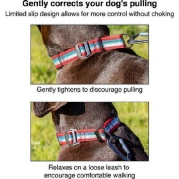 Kurgo Walk About Limited Slip Collar Small 10-14 inch - Benefits Senior Rescue - Picture 2 of 5